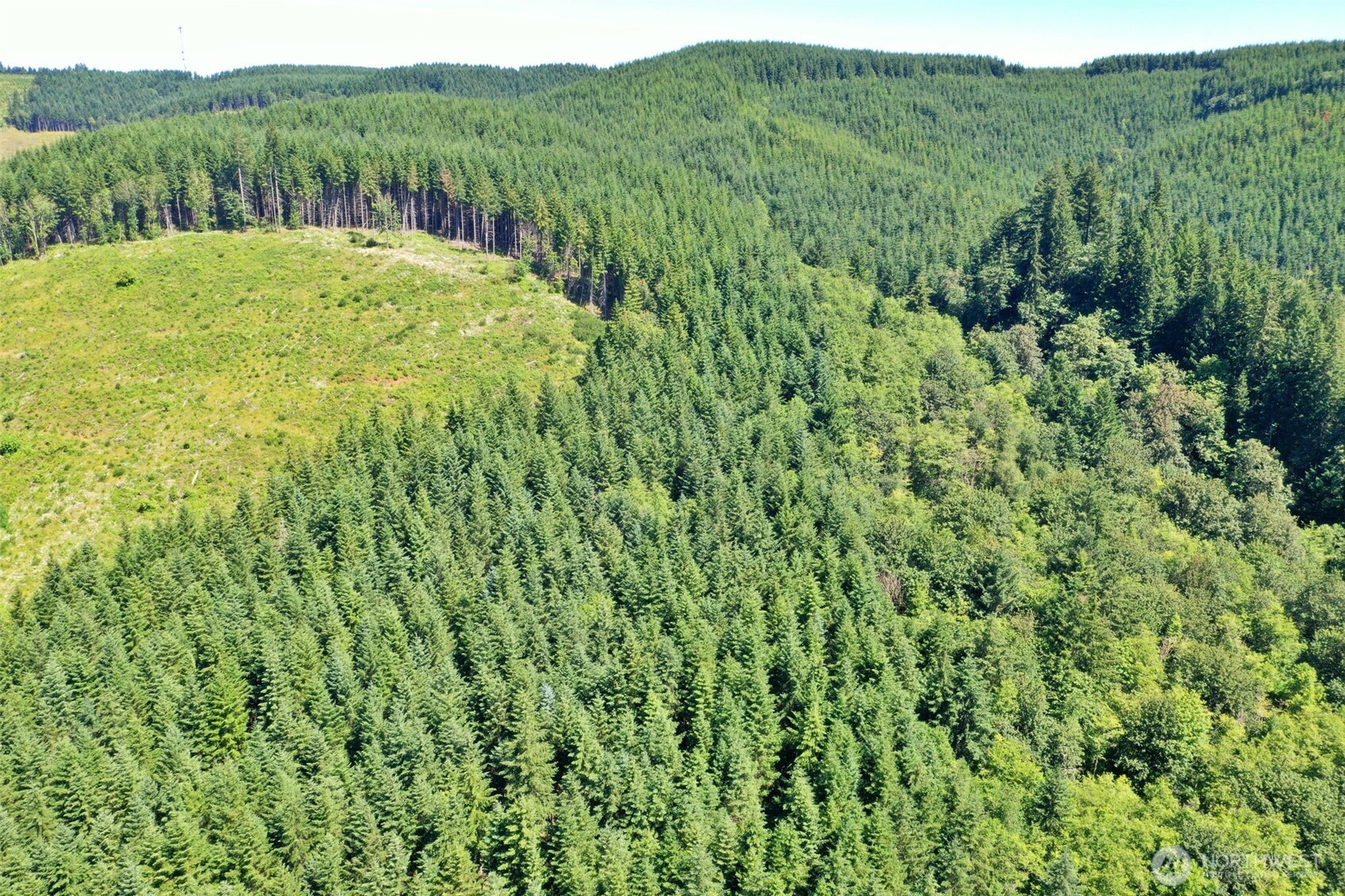 1668 King Road , Winlock, WA 98596
