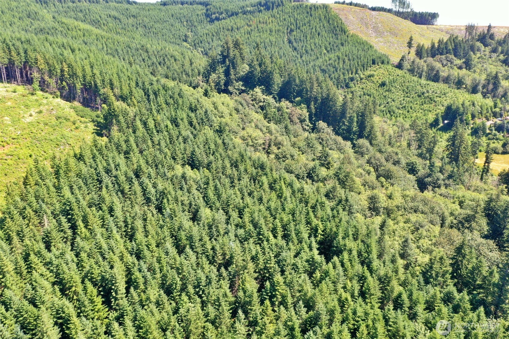 1668 King Road , Winlock, WA 98596