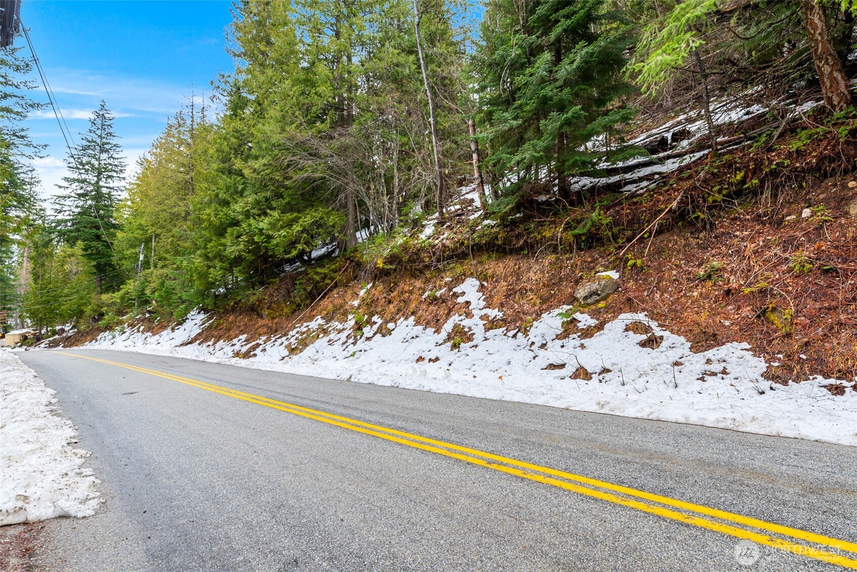 0 Cedar Brae Lot 87 , Lake Wenatchee, WA 98826