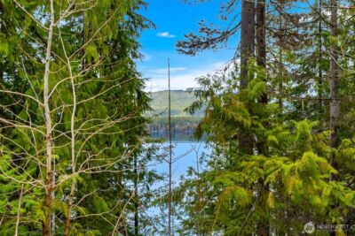 0 Cedar Brae Lot 87 , Lake Wenatchee, WA 98826 - Photo 6