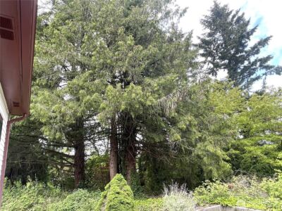 1309 Times Avenue , Bremerton, WA 98312 - Photo 11