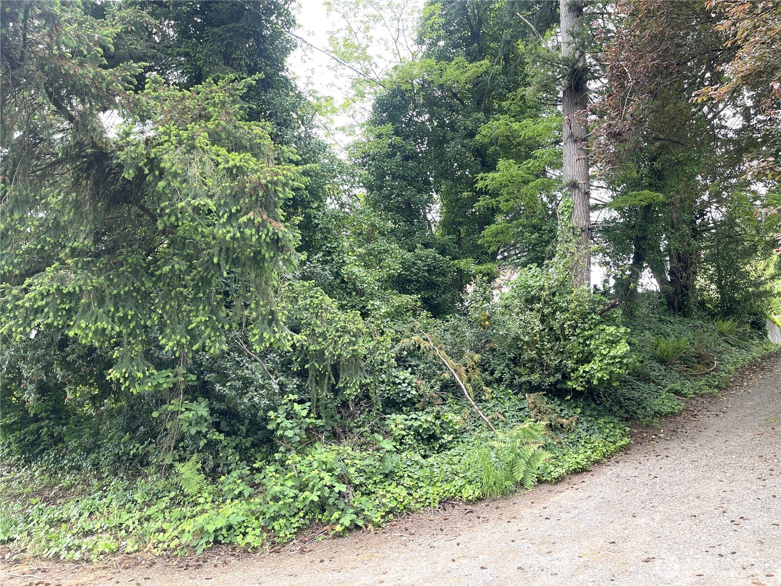 1309 Times Avenue , Bremerton, WA 98312