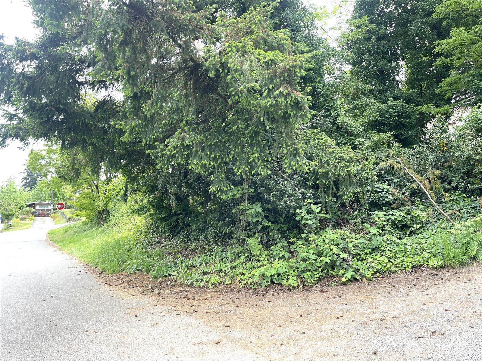 1309 Times Avenue , Bremerton, WA 98312
