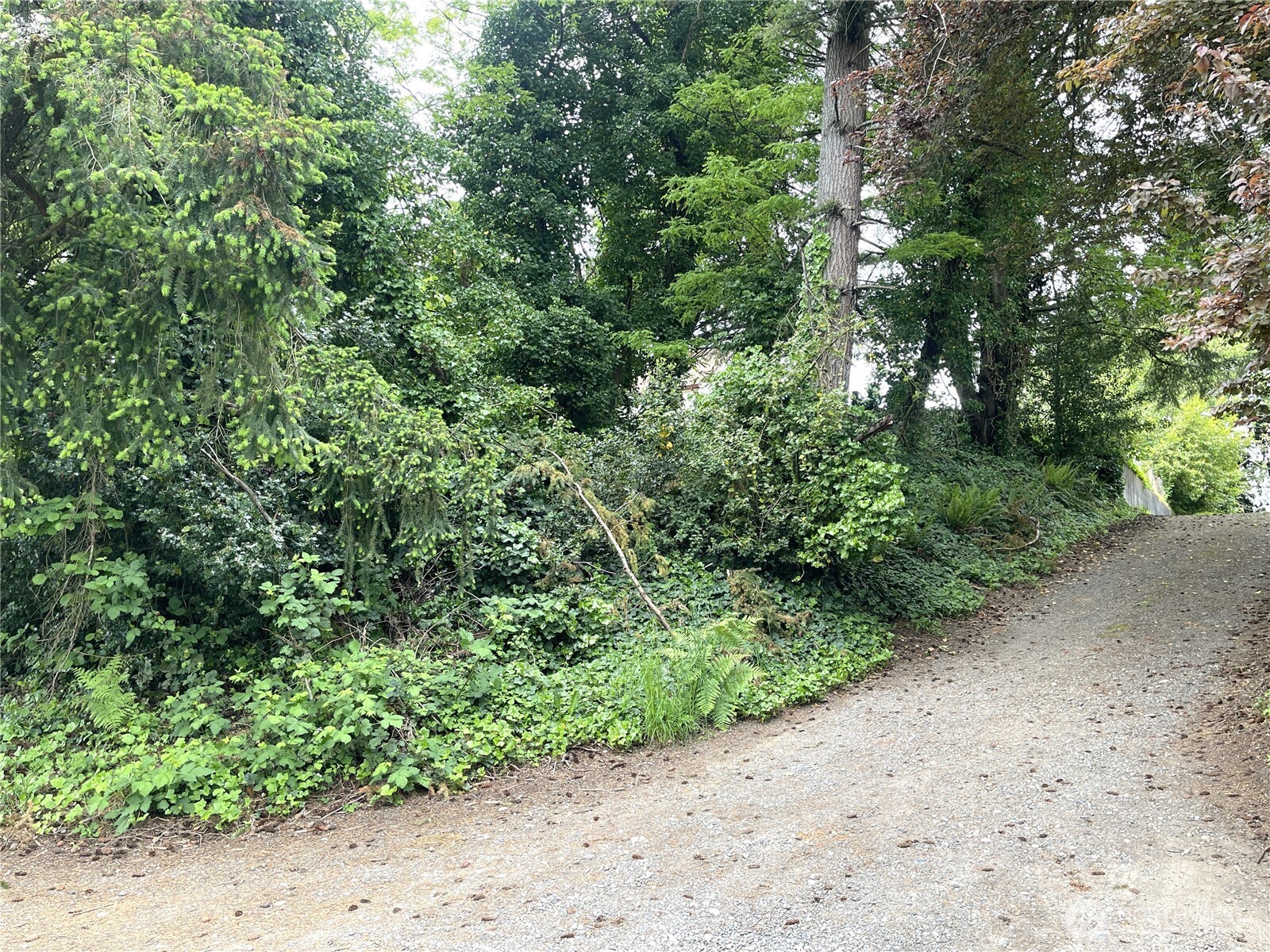 1309 Times Avenue , Bremerton, WA 98312