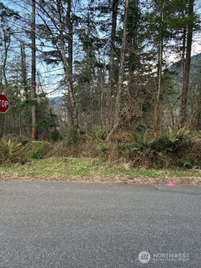 0 SE 166th Street , North Bend, WA 98045 - Photo 1