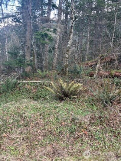 0 SE 166th Street , North Bend, WA 98045 - Photo 2