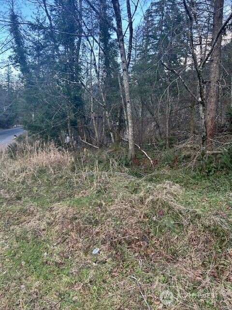 0 SE 166th Street , North Bend, WA 98045