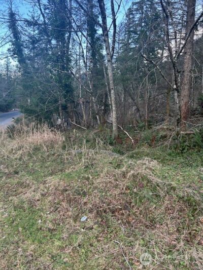0 SE 166th Street , North Bend, WA 98045 - Photo 3