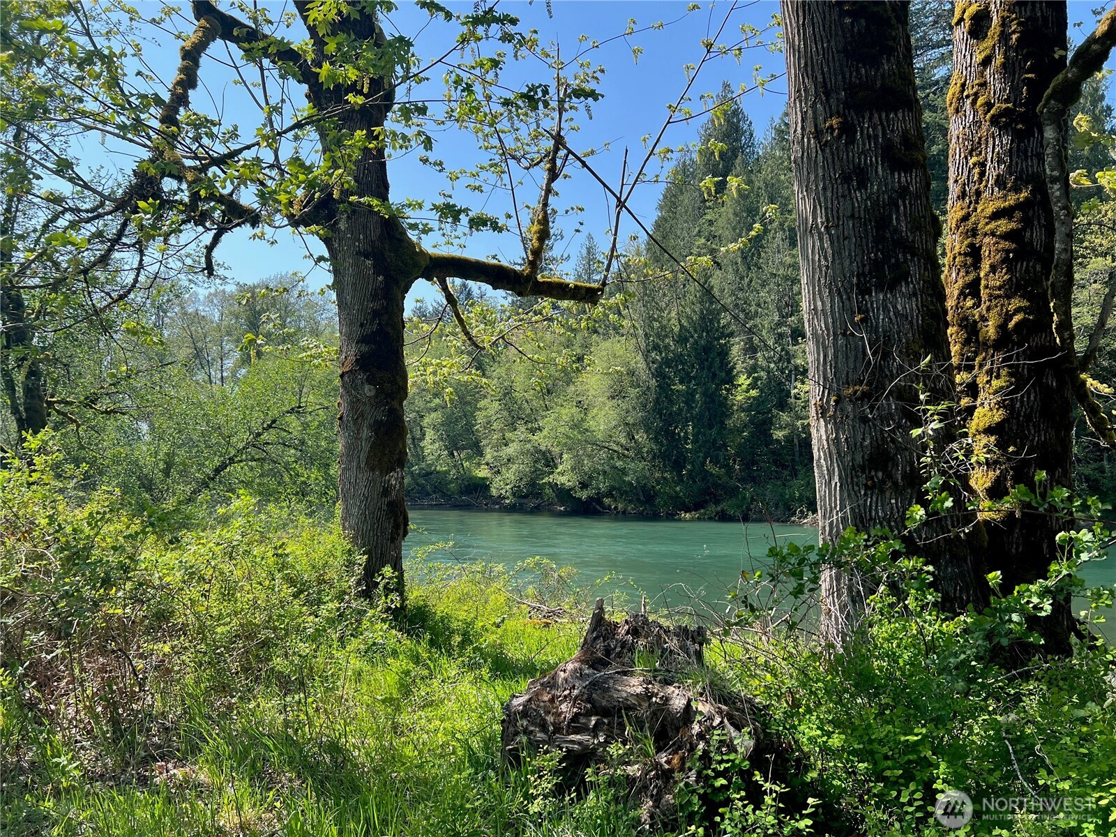 11377 US Hwy 12 , Randle, WA 98377