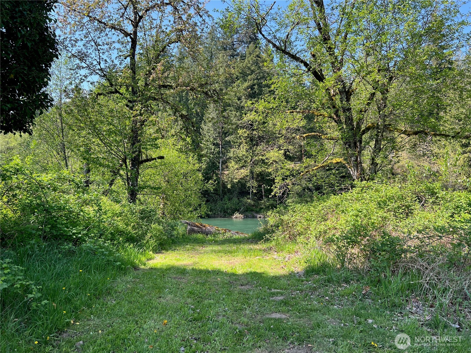 11377 US Hwy 12 , Randle, WA 98377