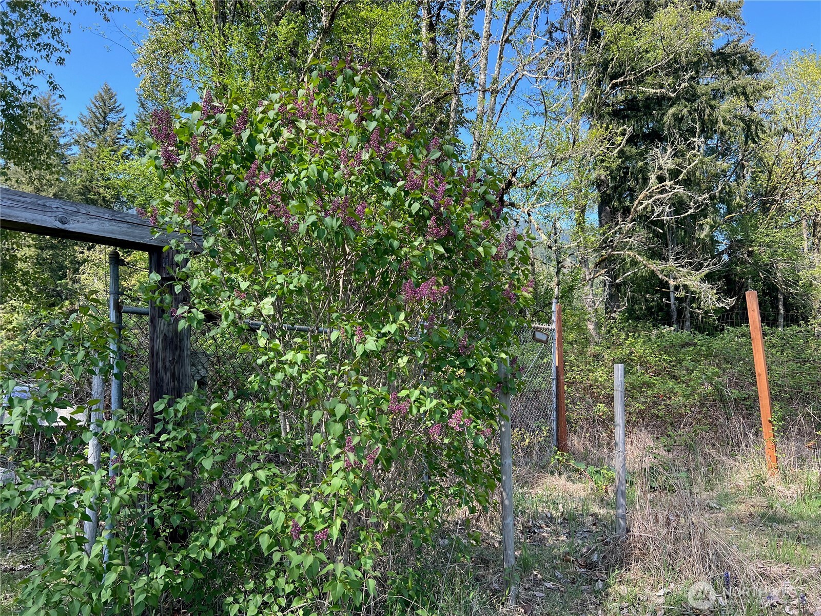 11377 US Hwy 12 , Randle, WA 98377