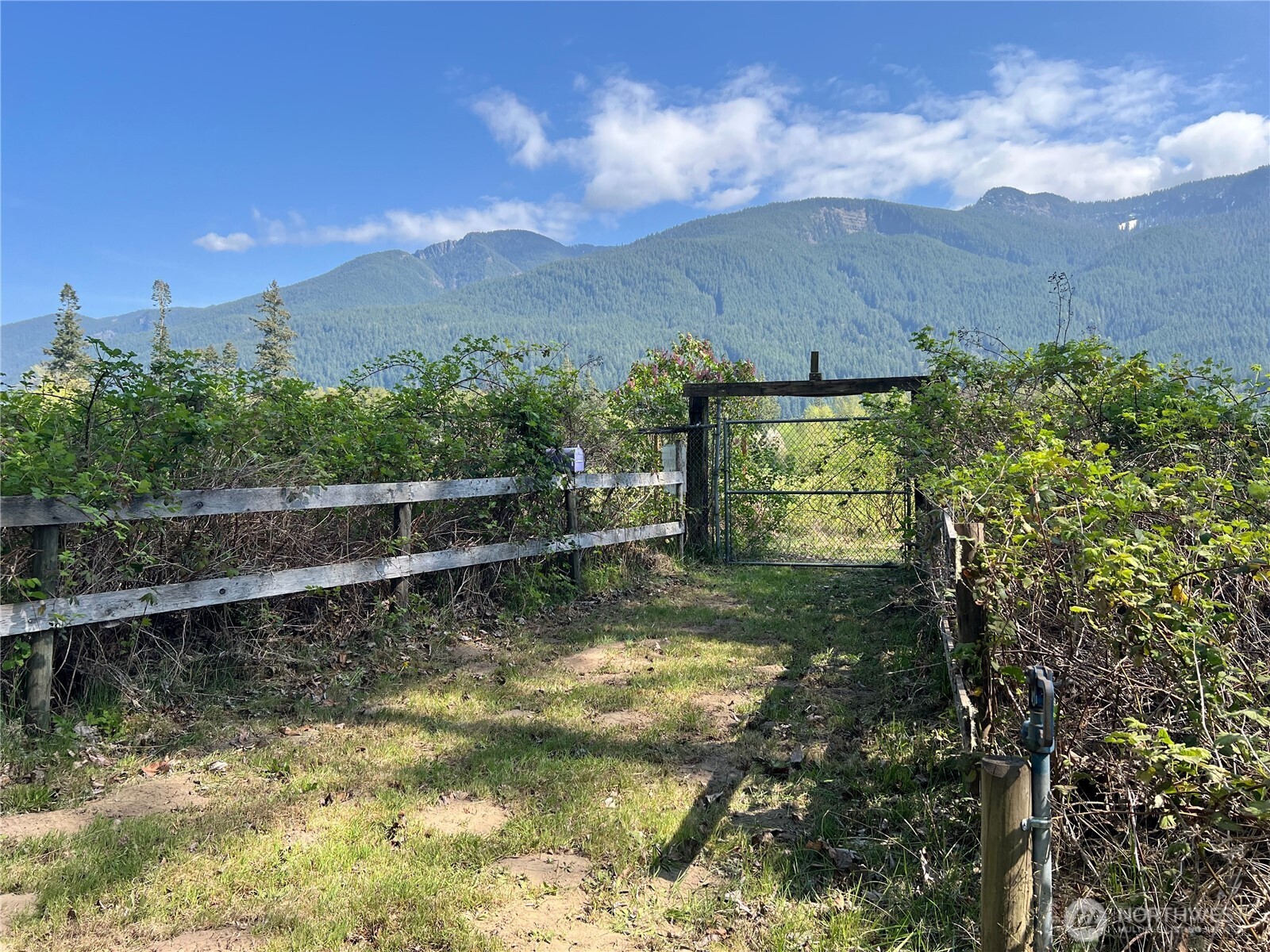 11377 US Hwy 12 , Randle, WA 98377