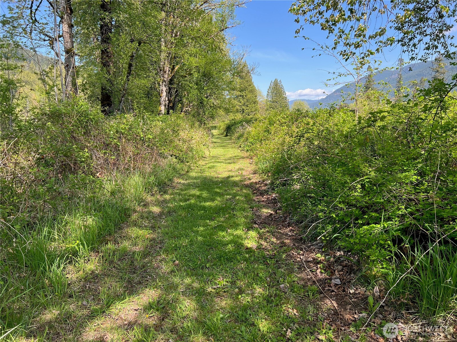 11377 US Hwy 12 , Randle, WA 98377
