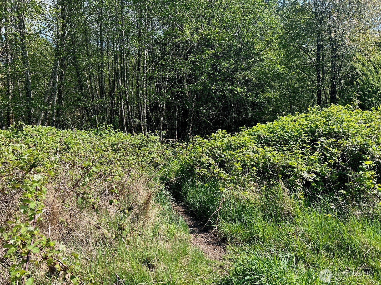 11377 US Hwy 12 , Randle, WA 98377