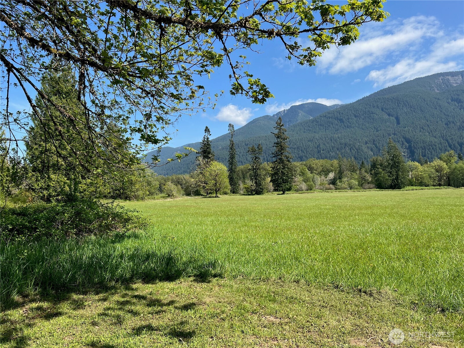 11377 US Hwy 12 , Randle, WA 98377