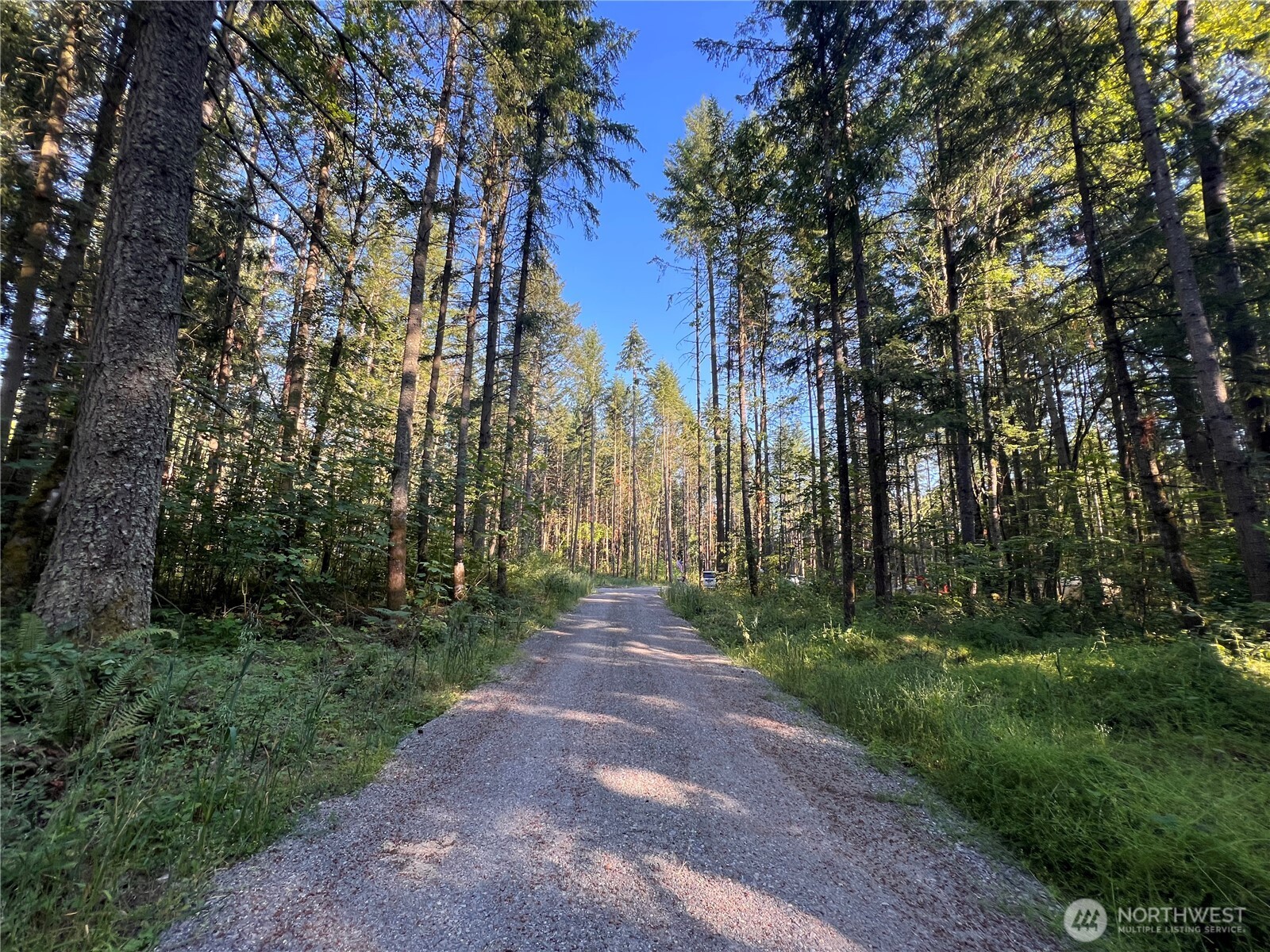 18311 Shenandoah Lane SE, Yelm, WA 98597