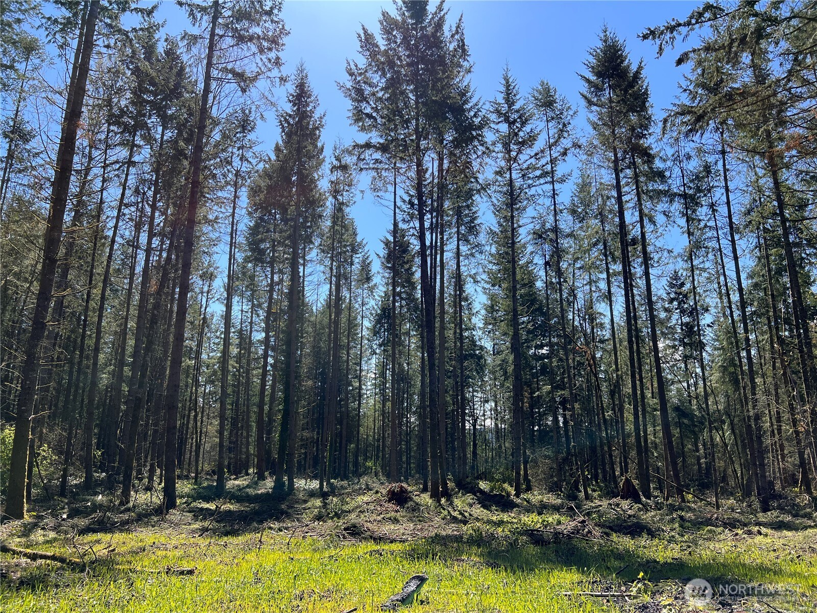 18311 Shenandoah Lane SE, Yelm, WA 98597