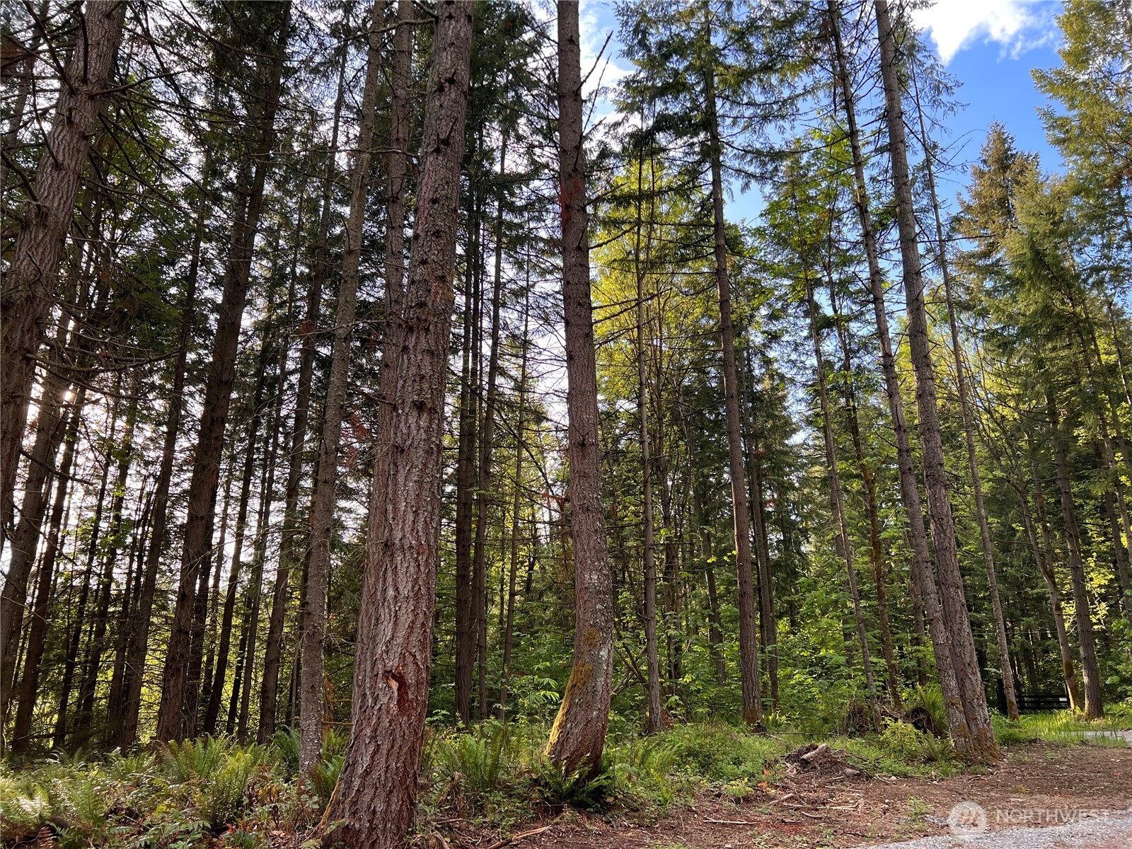 18311 Shenandoah Lane SE, Yelm, WA 98597