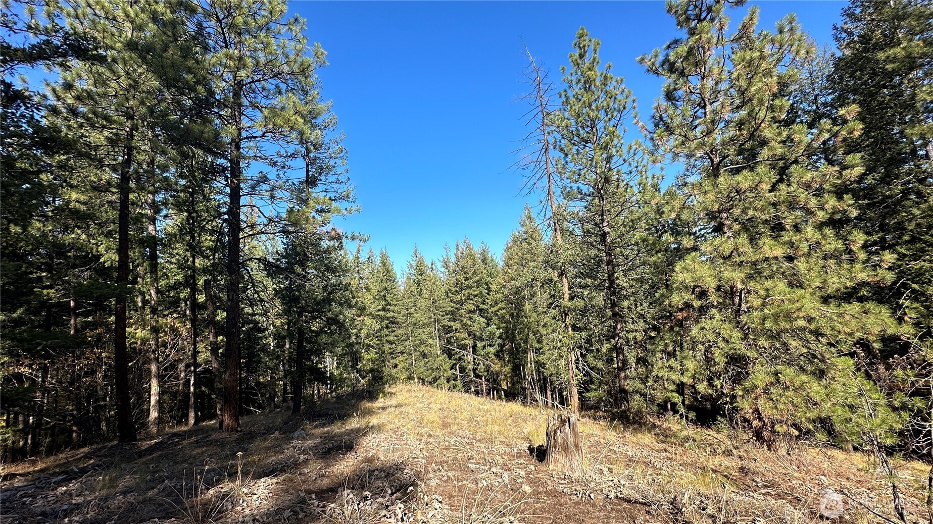 142 C Red Pine Court , Winthrop, WA 98862