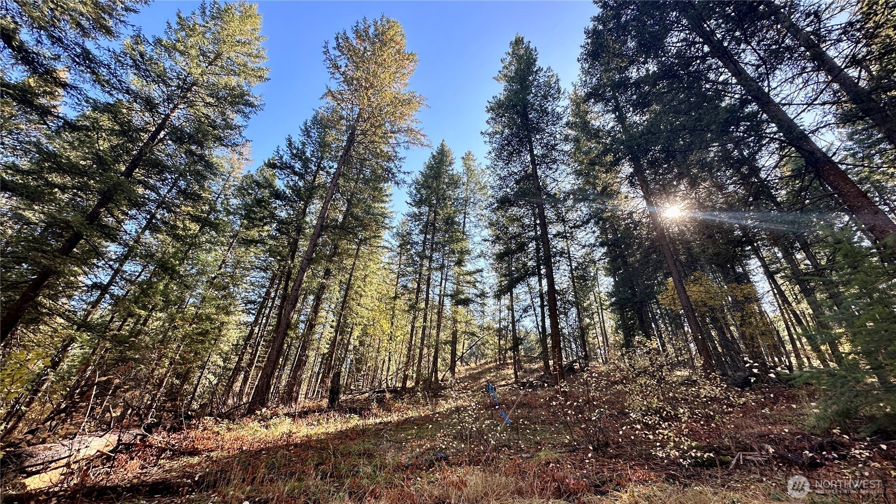 142 C Red Pine Court , Winthrop, WA 98862