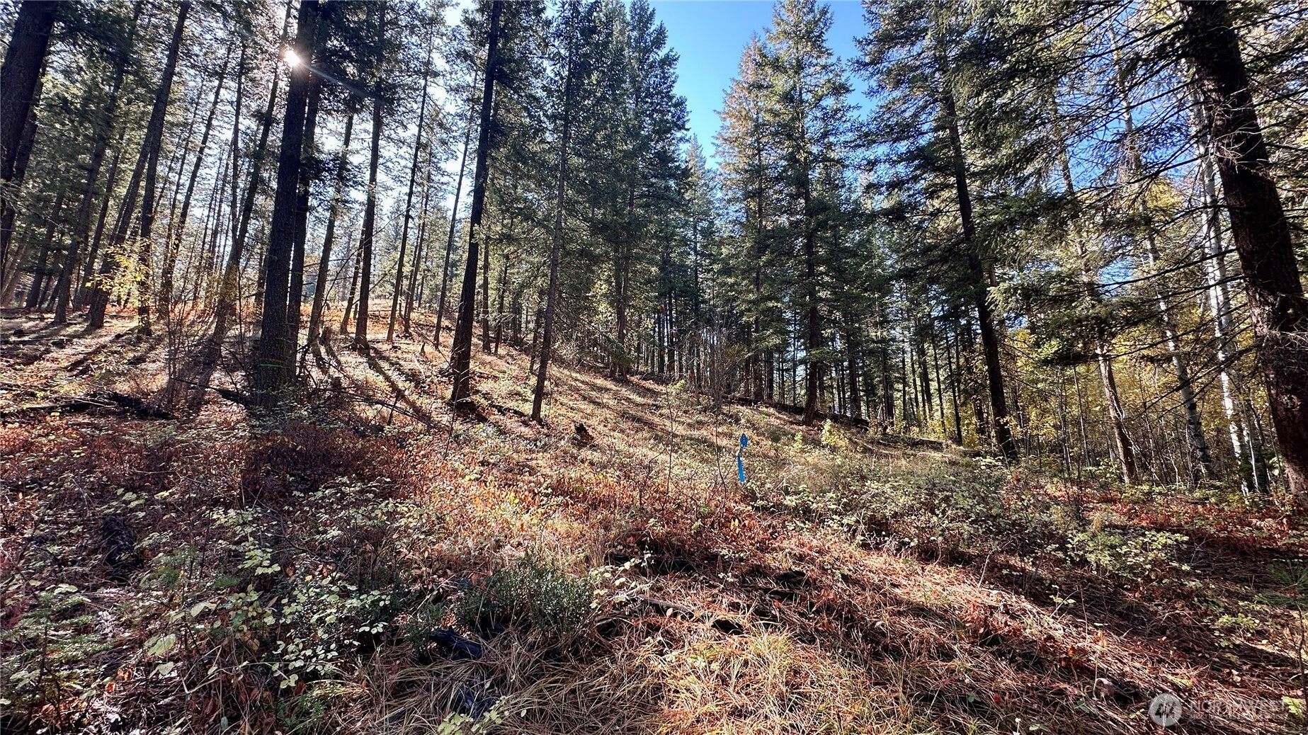 142 C Red Pine Court , Winthrop, WA 98862