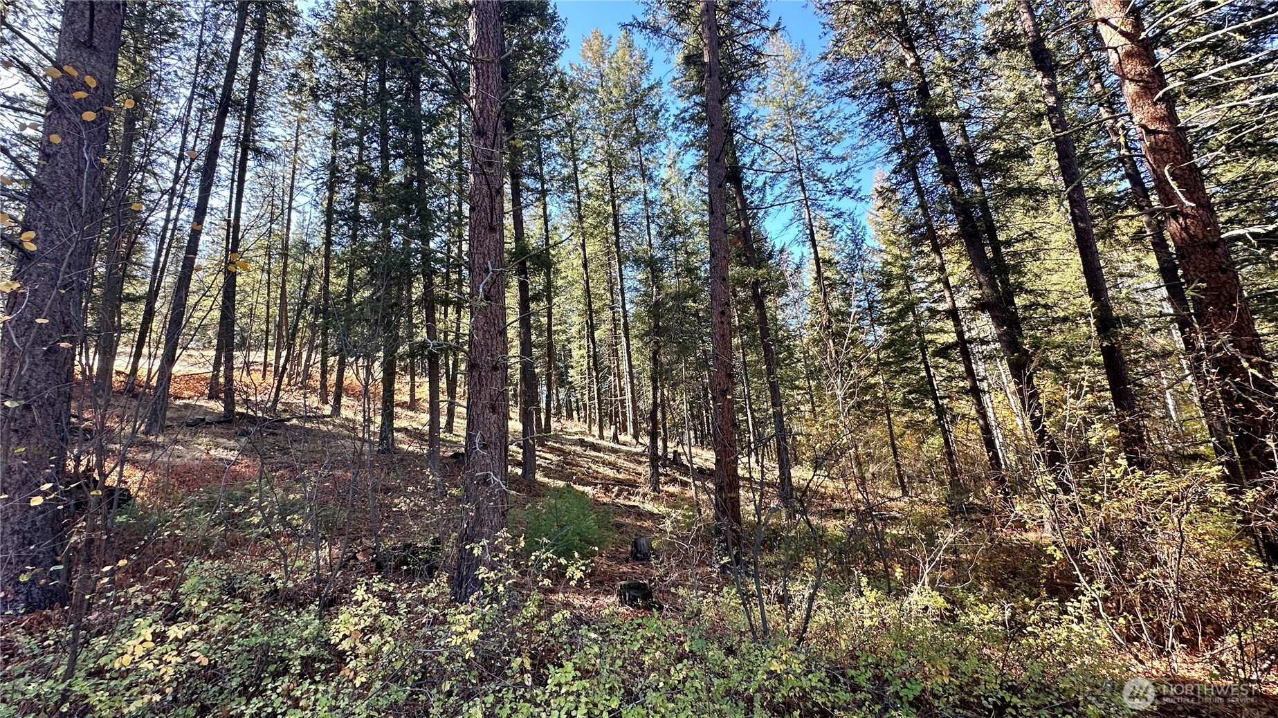 142 C Red Pine Court , Winthrop, WA 98862