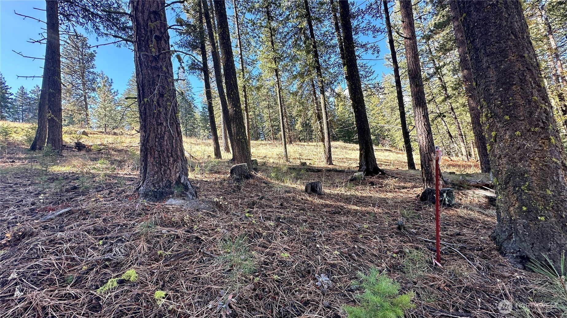 142 C Red Pine Court , Winthrop, WA 98862