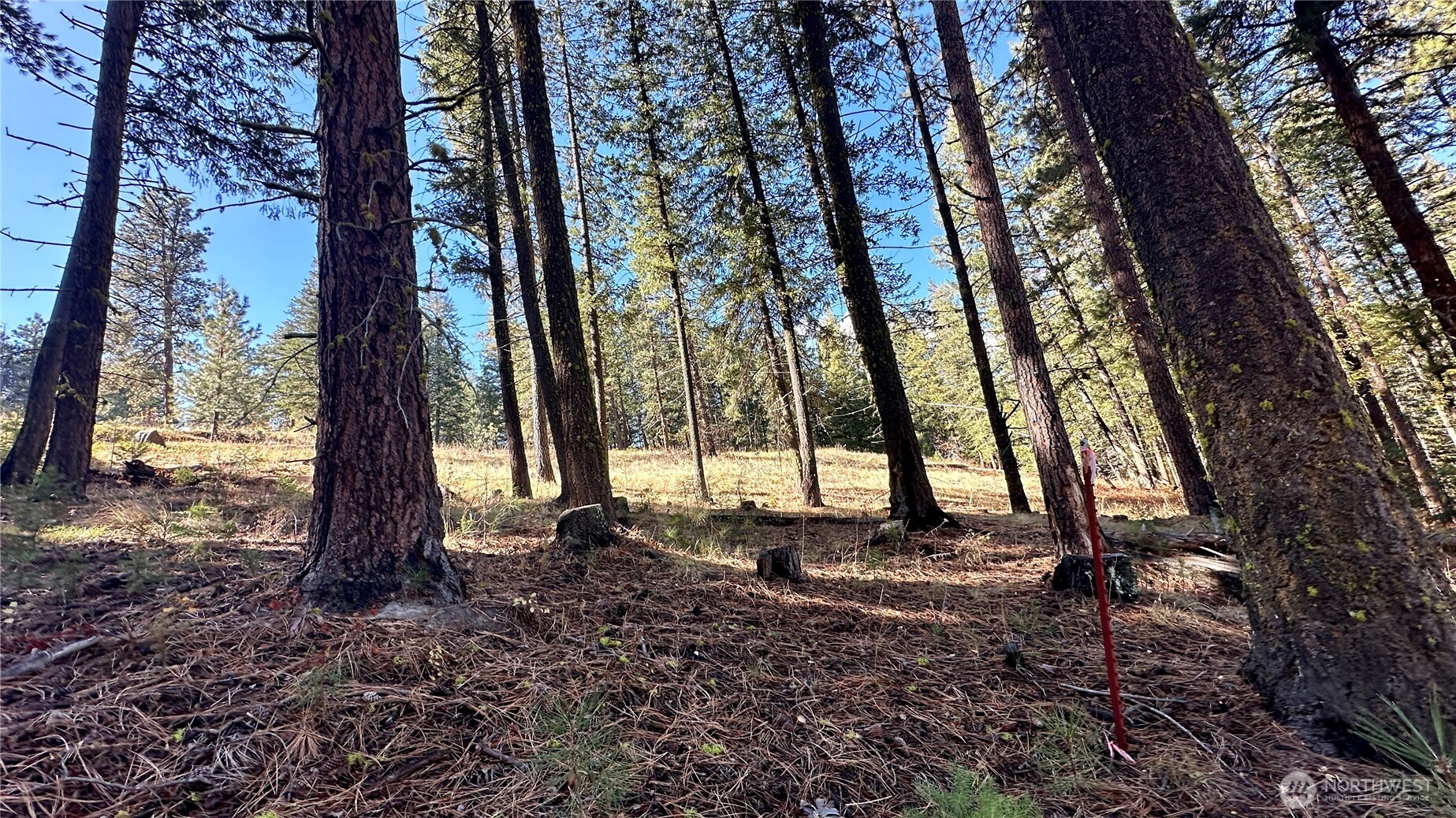 142 C Red Pine Court , Winthrop, WA 98862