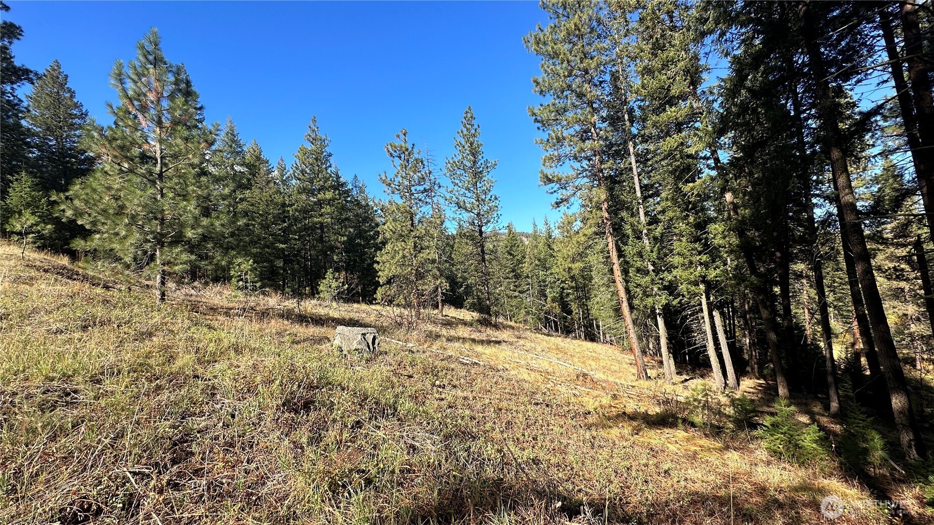 142 C Red Pine Court , Winthrop, WA 98862