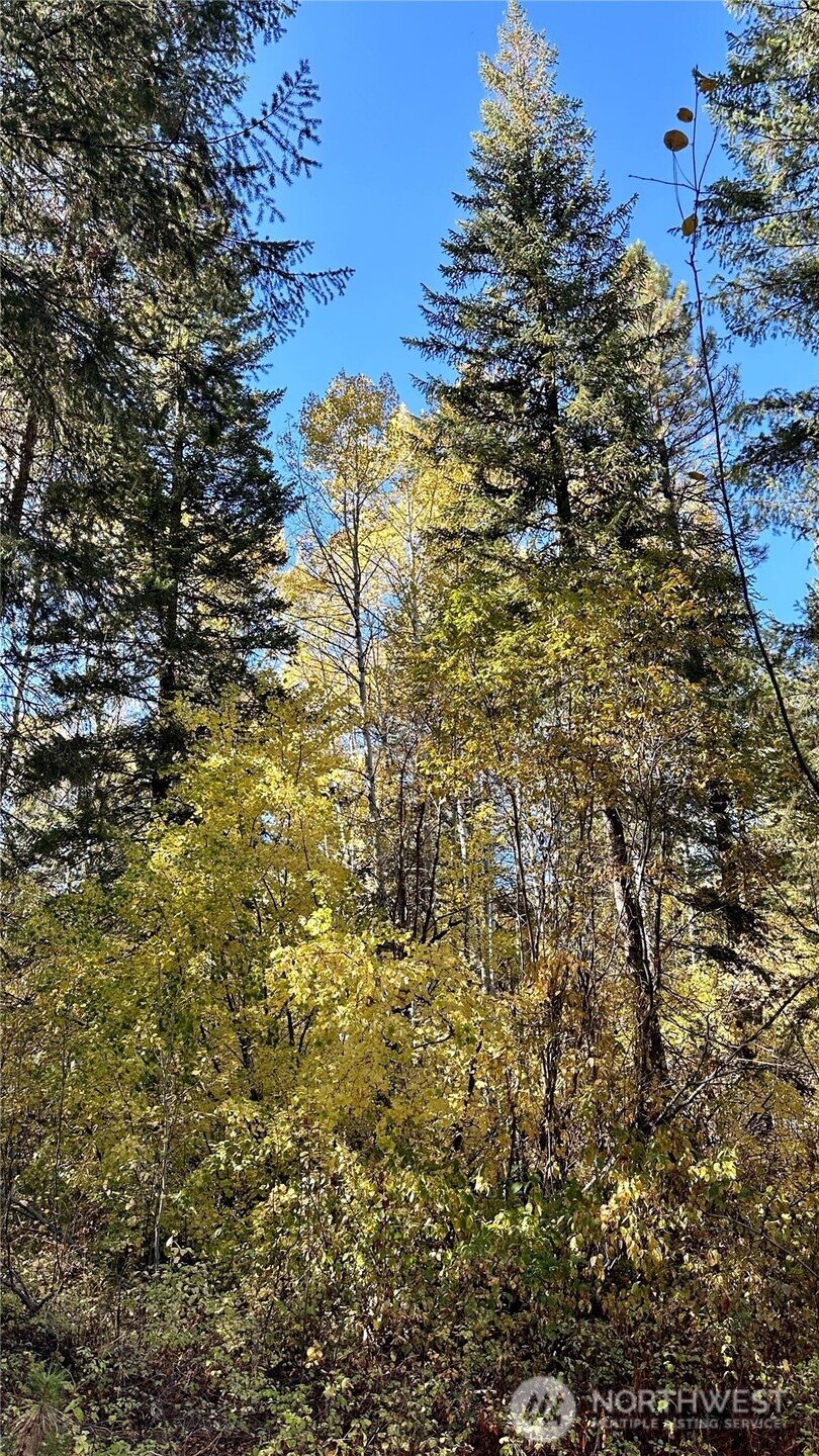 142 C Red Pine Court , Winthrop, WA 98862