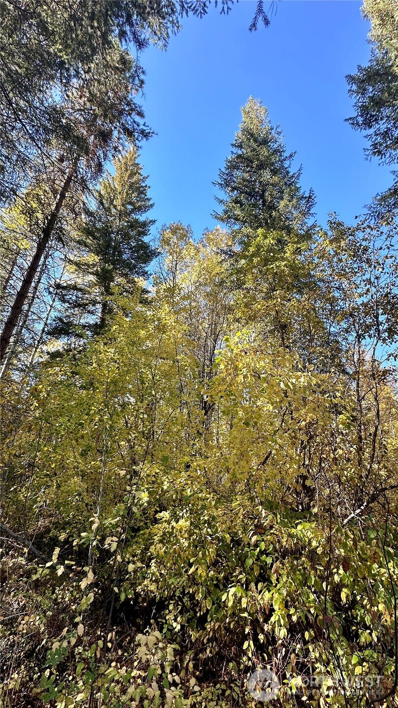 142 C Red Pine Court , Winthrop, WA 98862