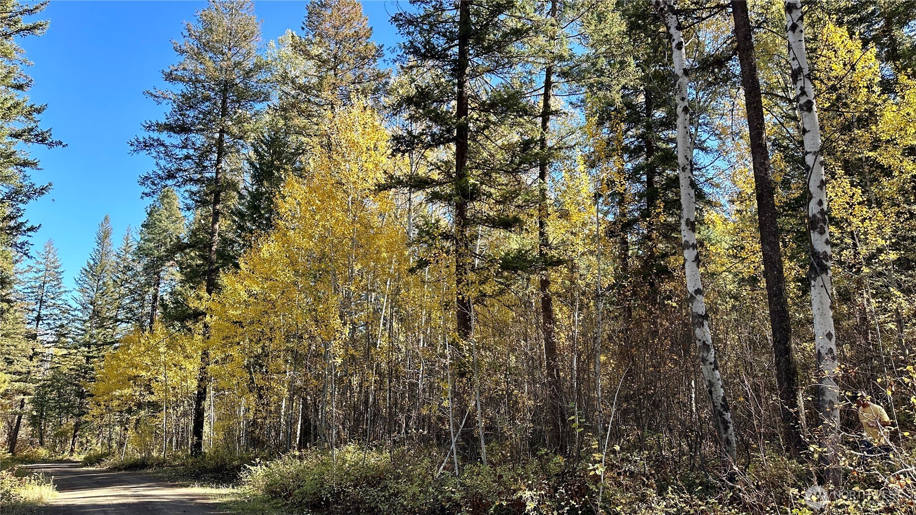 142 C Red Pine Court , Winthrop, WA 98862