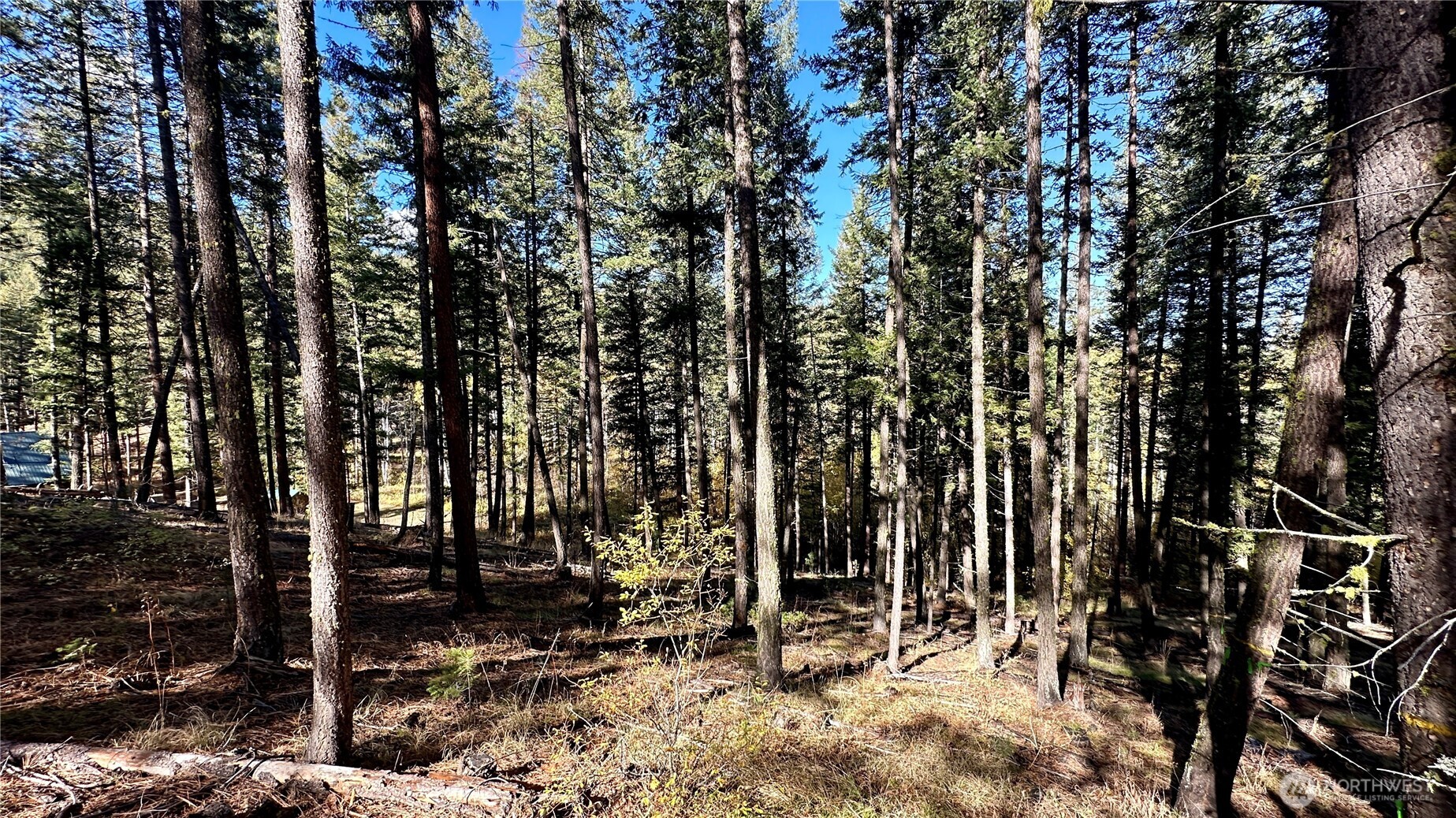 142 C Red Pine Court , Winthrop, WA 98862