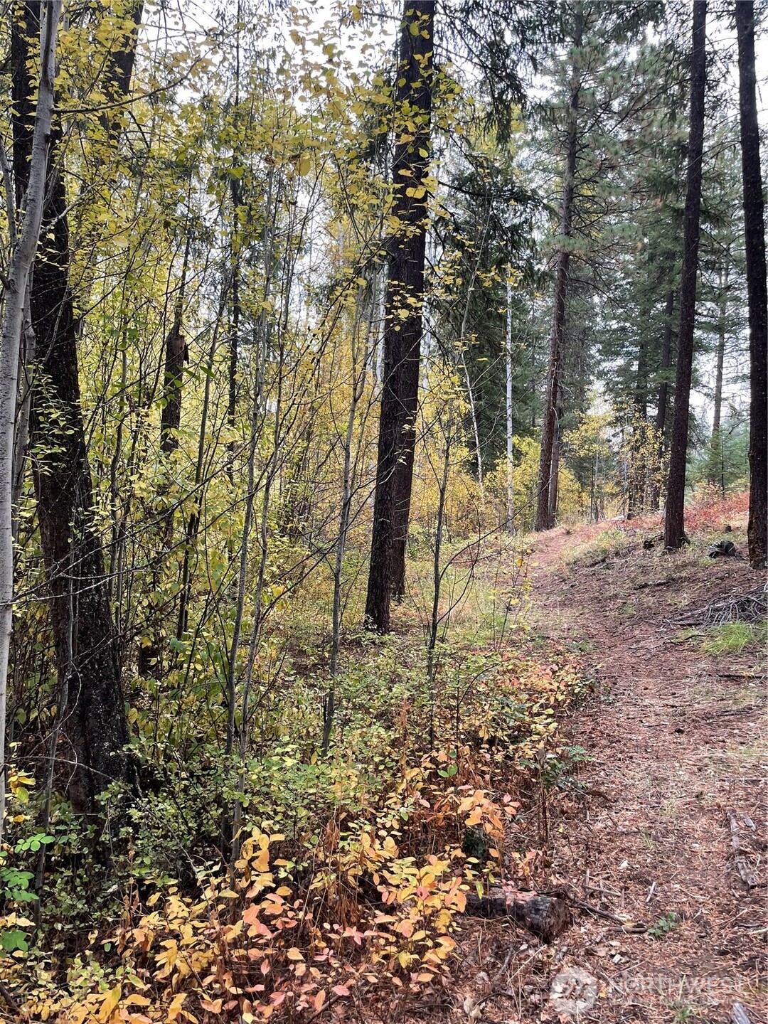 142 C Red Pine Court , Winthrop, WA 98862