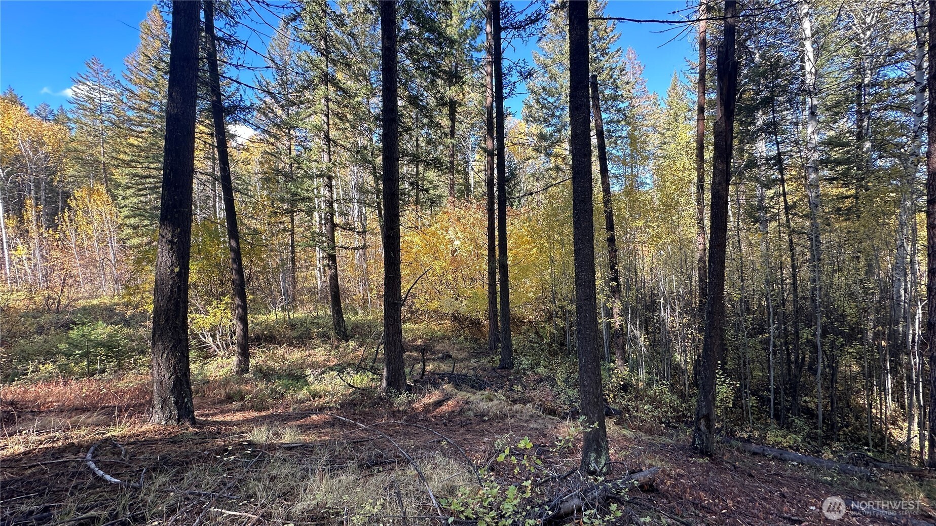 142 C Red Pine Court , Winthrop, WA 98862