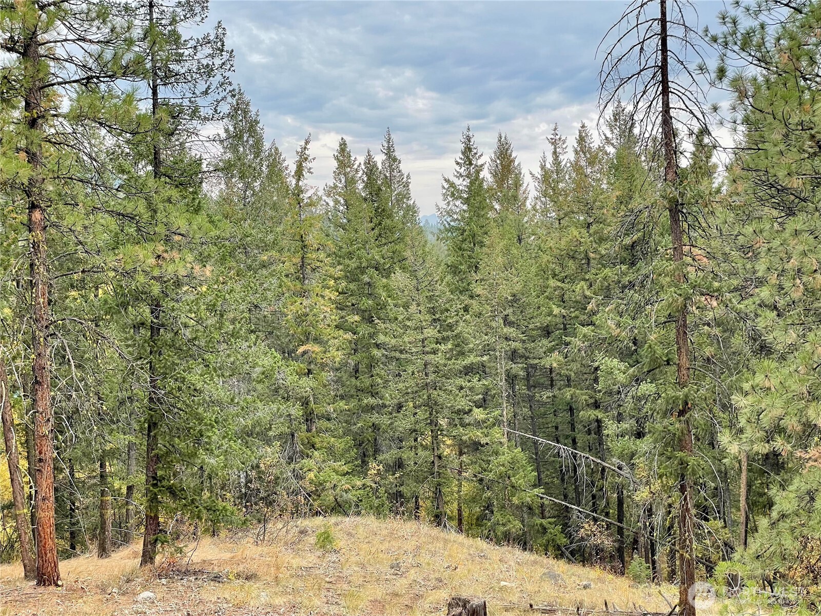 142 C Red Pine Court , Winthrop, WA 98862