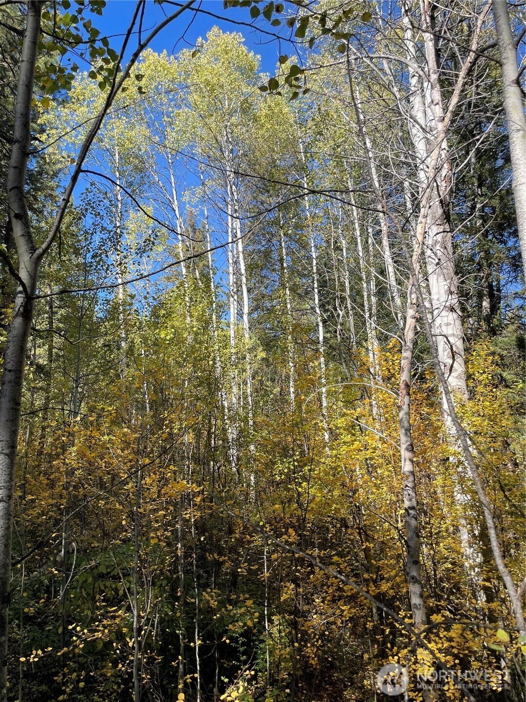 142 C Red Pine Court , Winthrop, WA 98862