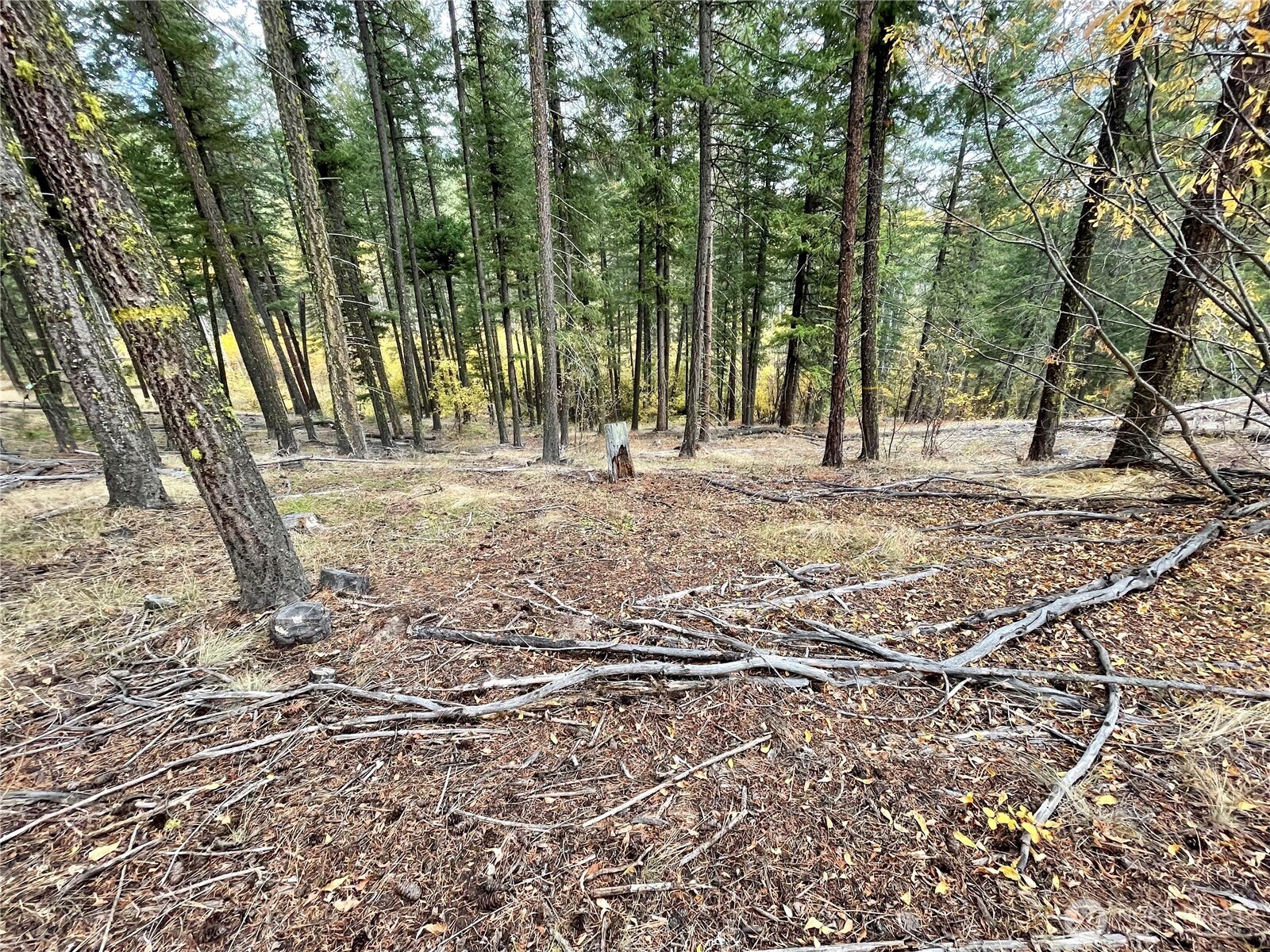 142 C Red Pine Court , Winthrop, WA 98862