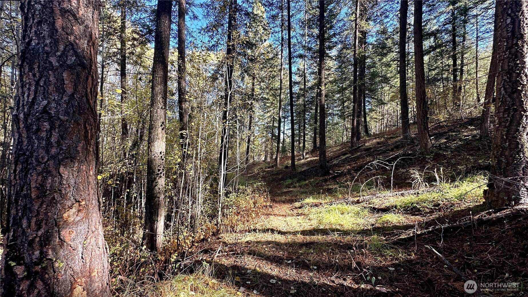 142 C Red Pine Court , Winthrop, WA 98862