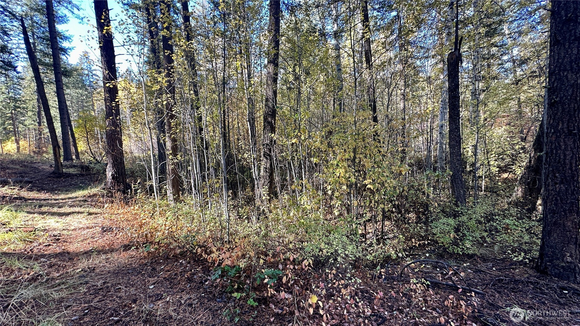 142 C Red Pine Court , Winthrop, WA 98862