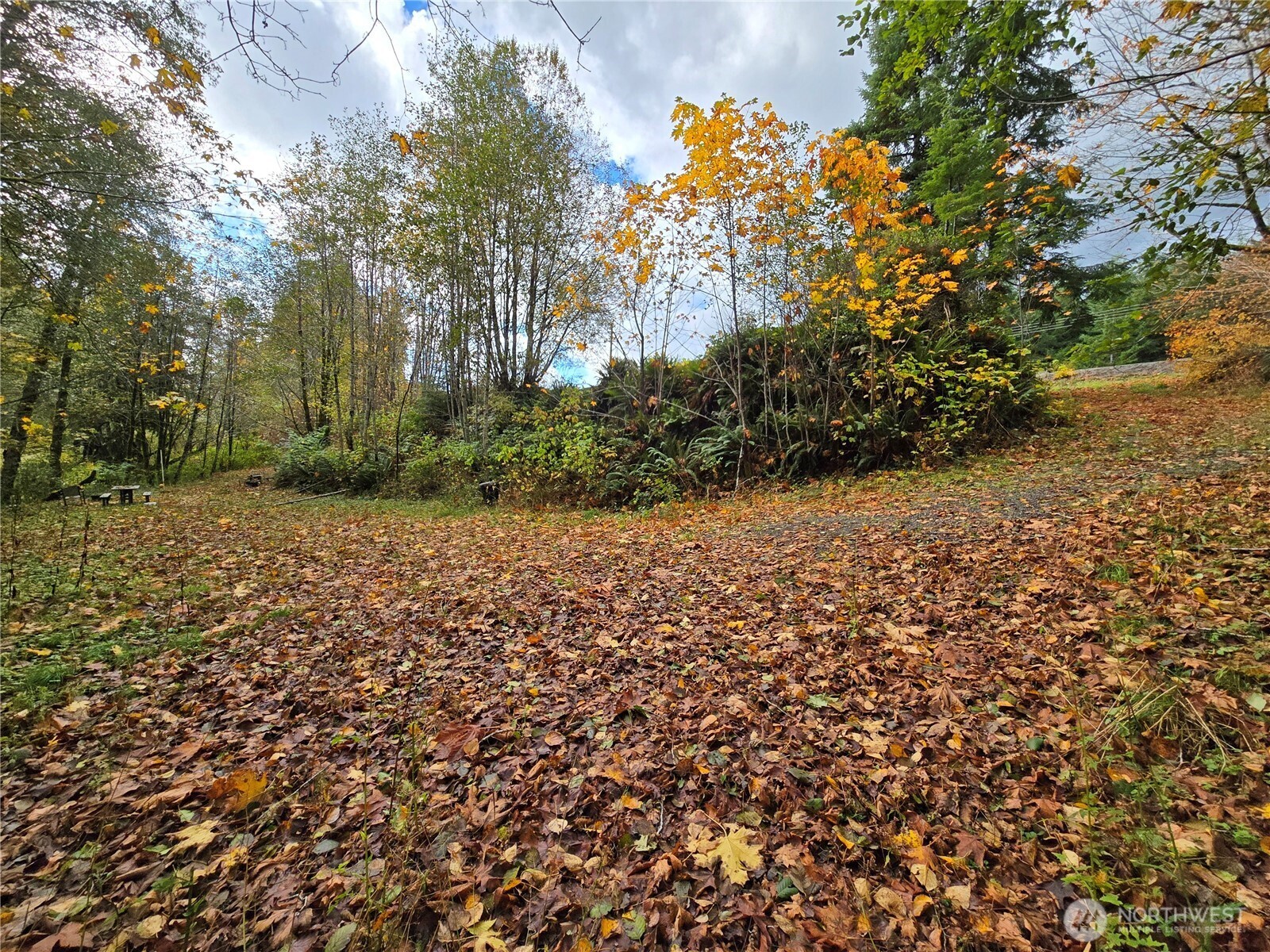 194600 Highway 101 , Forks, WA 98331