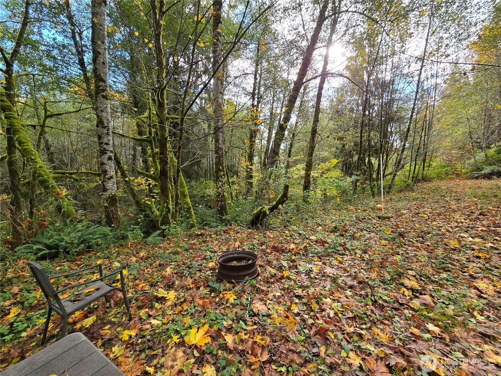 194600 Highway 101 , Forks, WA 98331