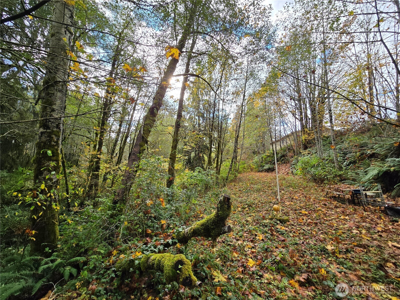 194600 Highway 101 , Forks, WA 98331