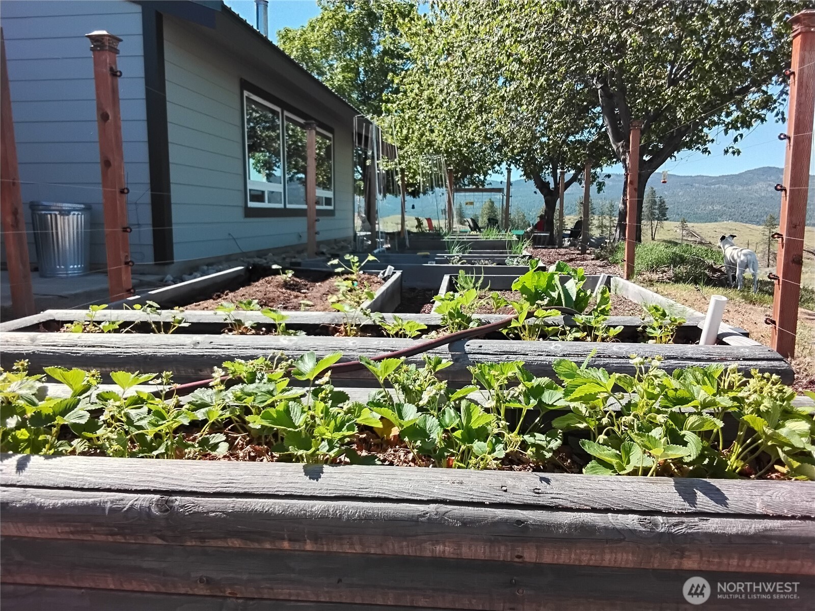 30 Tamarack Trail , Oroville, WA 98844