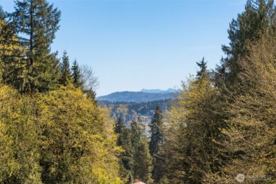 243 169th Avenue NE, Bellevue, WA 98008 - Photo 8