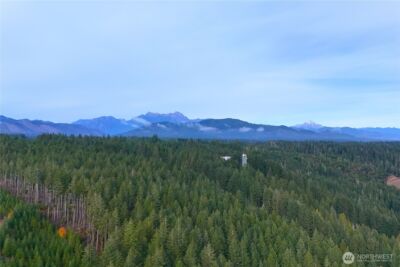 161 N Harvey Terrace Drive , Shelton, WA 98584 - Photo 38