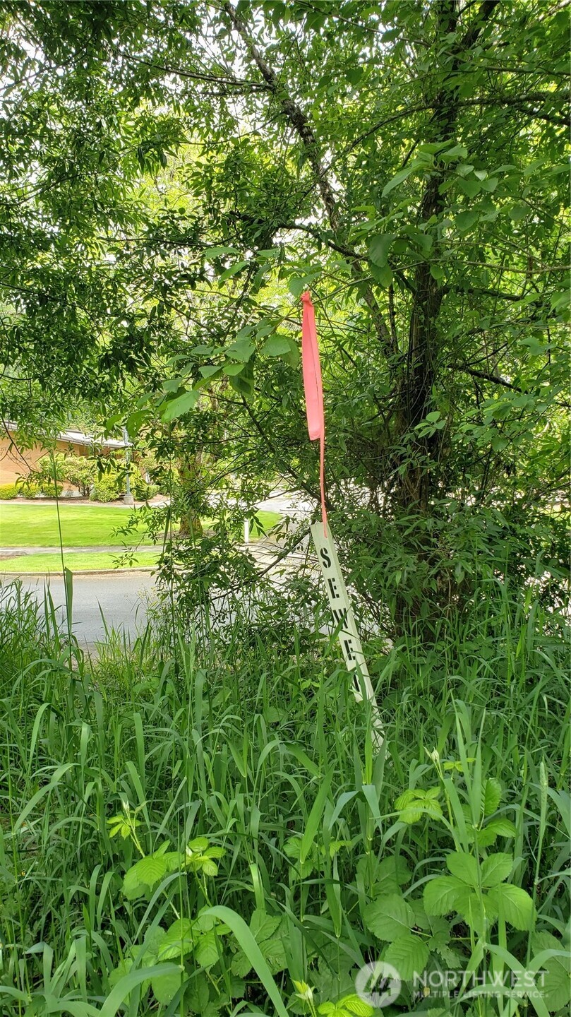 11 xx 6th Avenue SE, Issaquah, WA 98027