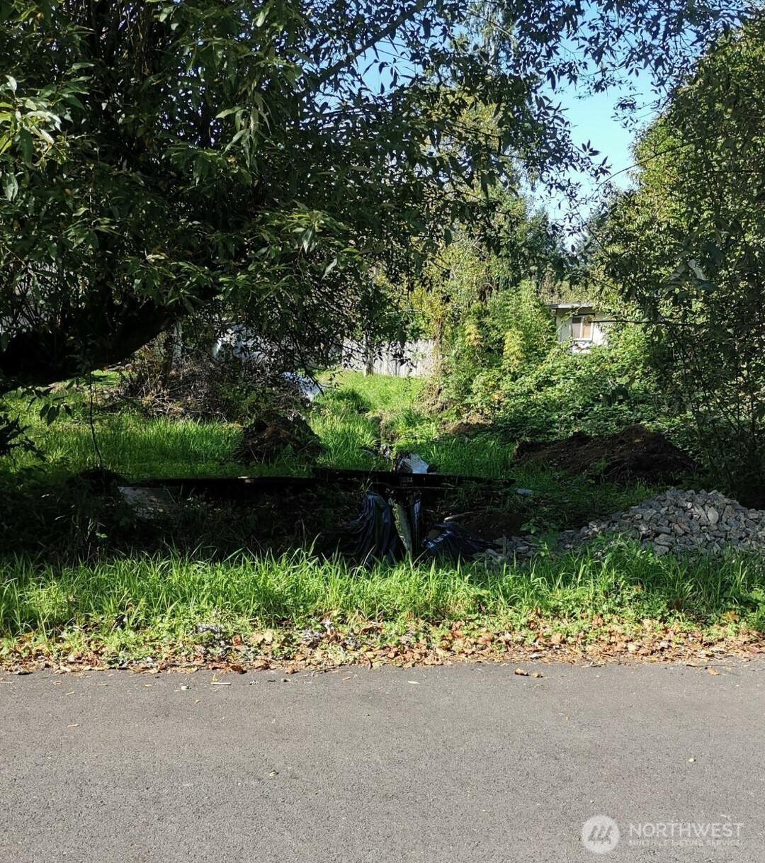 11 xx 6th Avenue SE, Issaquah, WA 98027