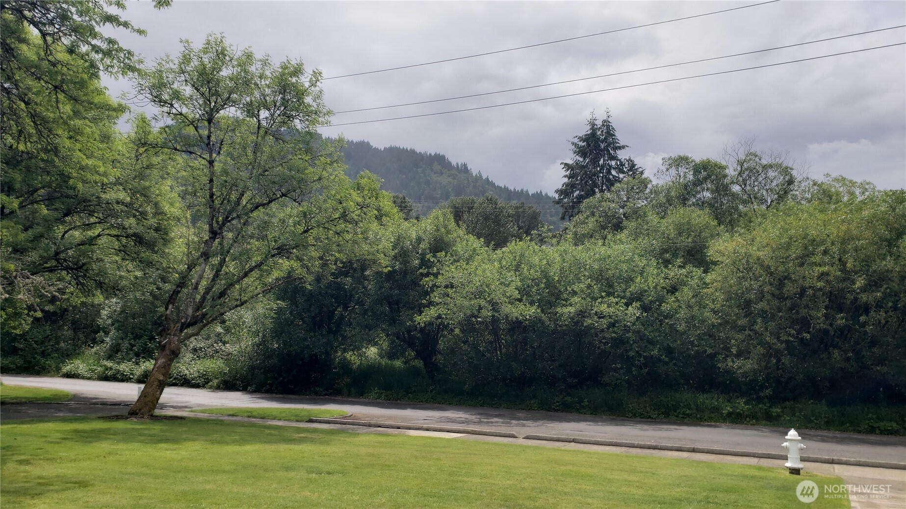 11 xx 6th Avenue SE, Issaquah, WA 98027