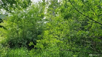 11 xx 6th Avenue SE, Issaquah, WA 98027 - Photo 10